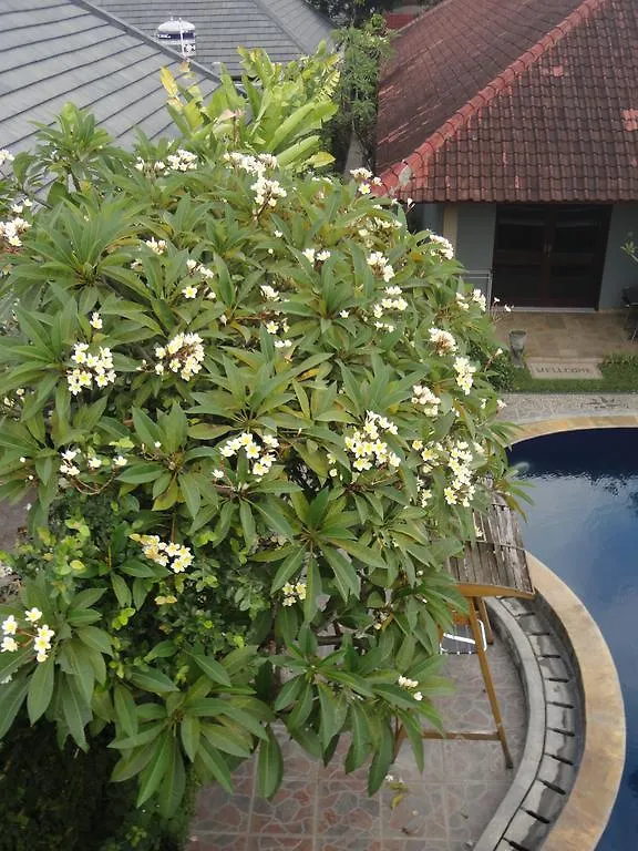 Hostel Meriki Apartment Legian  Indonesia